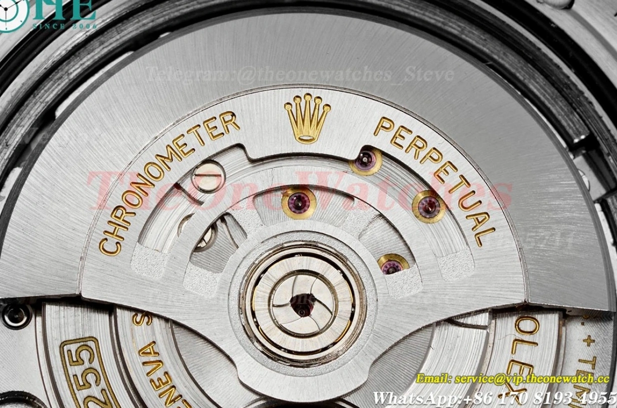 VR3255(Gain Weight) SS KF SS 228236 Silver 40mm Dia DayDate 0524